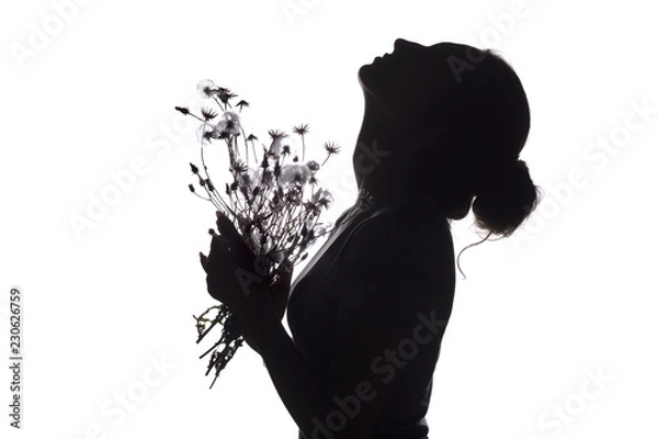 Obraz silhouette portrait of a beautiful girl with a bouquet of with dandelions on a white isolated background
