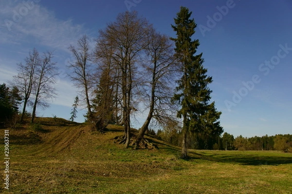 Obraz Весенний пейзаж