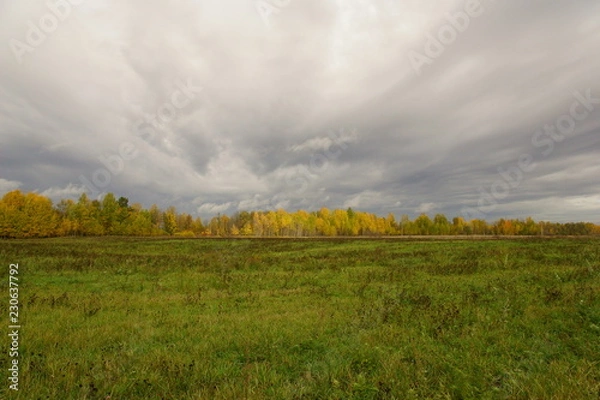 Obraz Осенний пейзаж