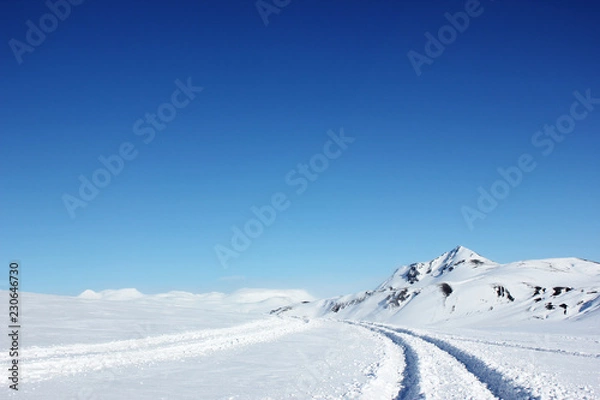 Fototapeta 雪の轍