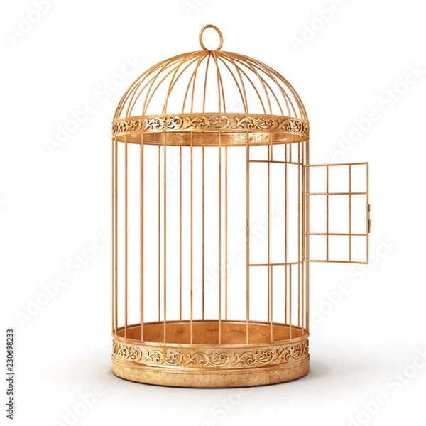 Obraz Success concept. Open bird's cell isolation on a white background. 3d illustration