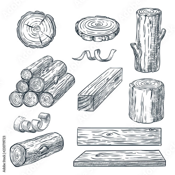 Fototapeta Wood logs, trunk and planks, vector sketch illustration. Hand drawn wooden materials. Firewood set