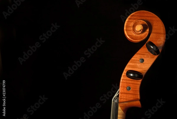 Obraz Kopf eines Violoncelli
