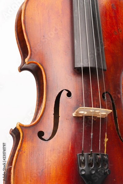 Obraz Violin close up isolated on white background