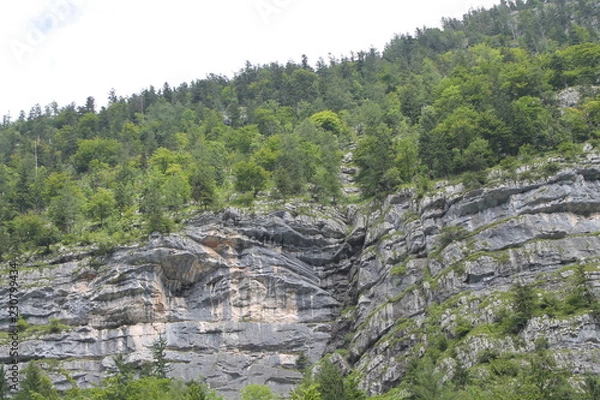 Obraz Alpine rocks, overgrown with forest, close-up