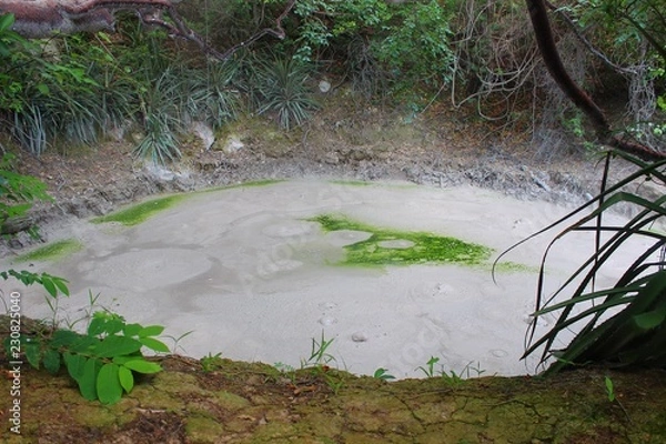 Fototapeta Boiling mud pit in Rincón de La Vieja - Costa Rica