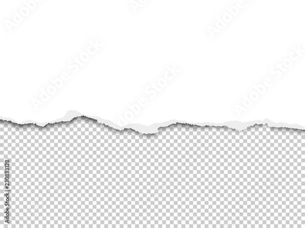 Fototapeta Torn a half sheet of white paper from the bottom placed on transparent background. Vector paper mockup.