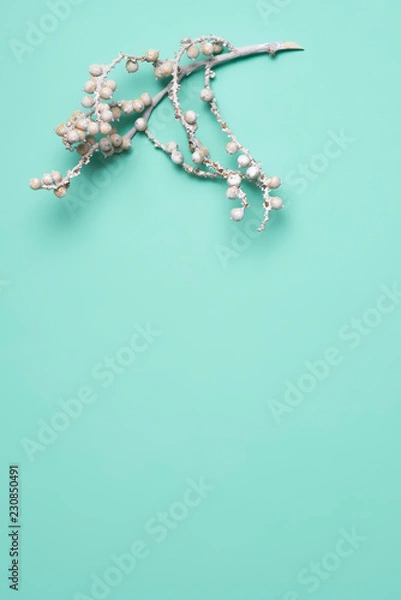Obraz nature green background Flat lay, top view, copy space
