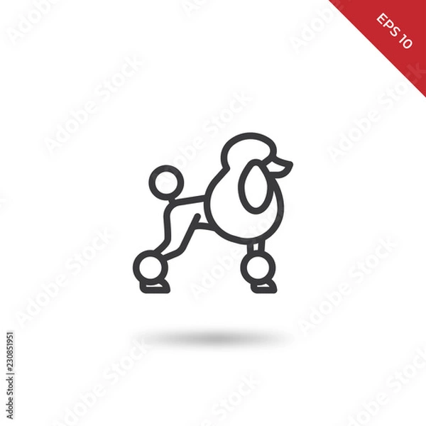 Obraz Poodle vector icon