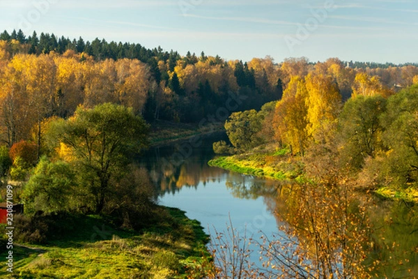 Obraz autumn yellow forest and river
