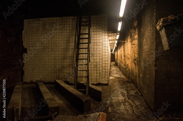 Fototapeta Scene from an old abandoned cellar - Halloween background