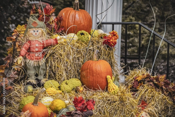 Obraz fall decorations warm