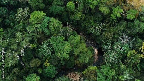 Obraz Aerial drone image of the rainforest and a small river at Amboro National Park, Bolivia