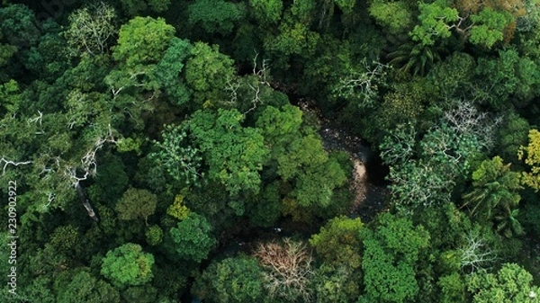 Obraz Zdjęcie lotnicze drone lasu deszczowego i małej rzeki w Parku Narodowym Amboro w Boliwii