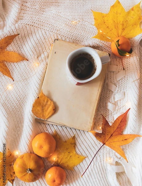 Fototapeta Flat lay or top view of a book with old covers, cup of coffee, pumpkin, mandarin oranges and golden leaves and lights on white woolen sweater. Autumn or winter morning coffee or breakfast background. 
