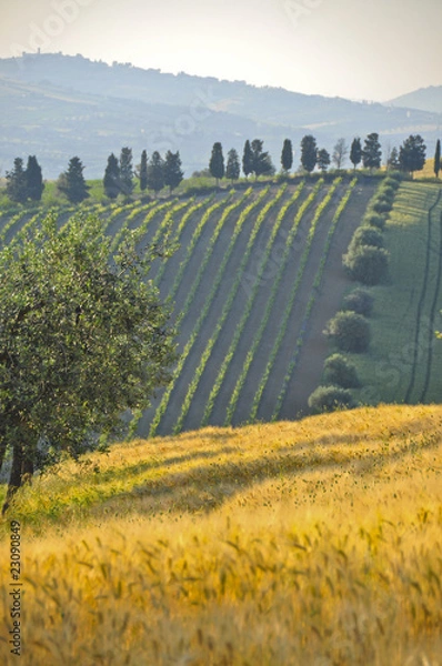 Obraz Abruzzo = Toscana