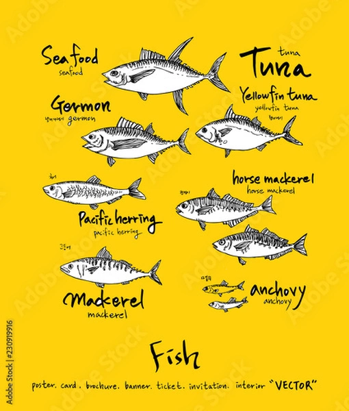 Fototapeta 해산물 일러스트 / 손으로 그린 수산물 그림