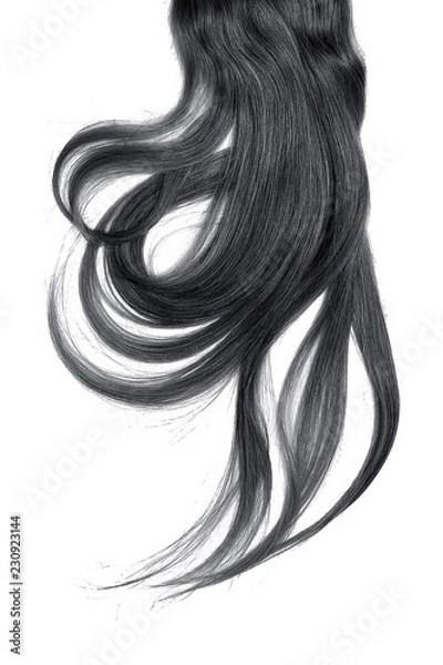 Fototapeta Black hair, isolated on white background. Long and disheveled ponytail