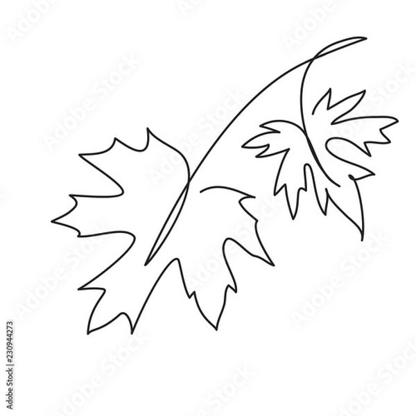 Obraz leaf line art