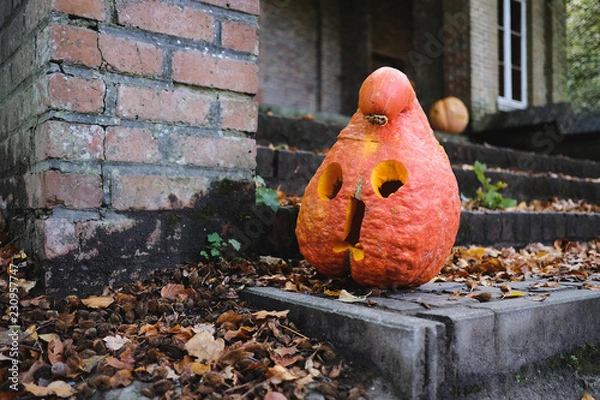 Obraz Halloween Pumpkin