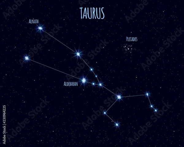 Obraz Taurus (The Bull) constellation, vector illustration with the names of basic stars against the starry sky