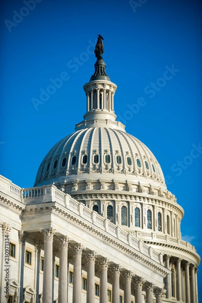 Fototapeta Bright mid-day view of the traditional neoclassical architecture of the Capitol Building’s dome, columns, and steps in Washington DC, USA