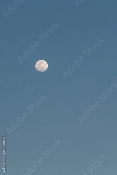 Obraz moon in the sky