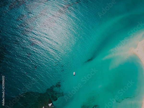 Obraz scuba divers on coral reef