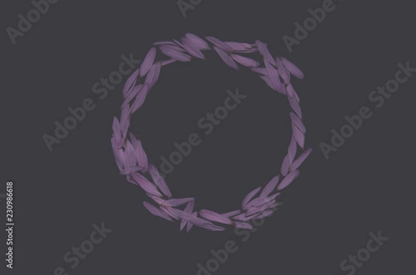 Fototapeta A circle of purple flower petals on a black intelligent background