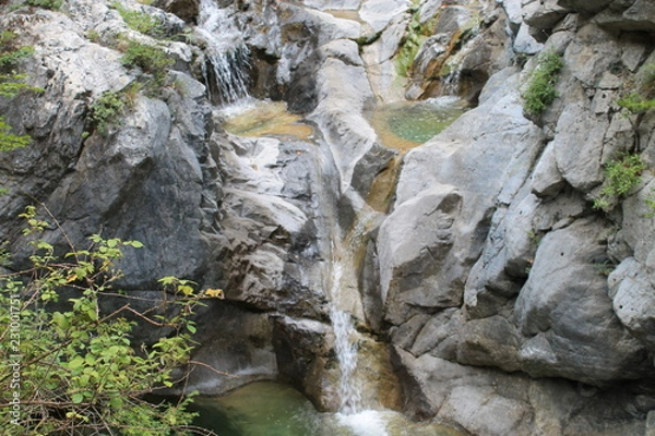 Fototapeta waterfall in forest
