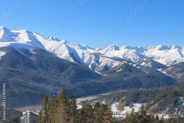 Fototapeta alps in winter