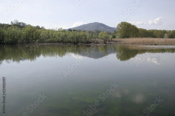 Obraz specchio naturale