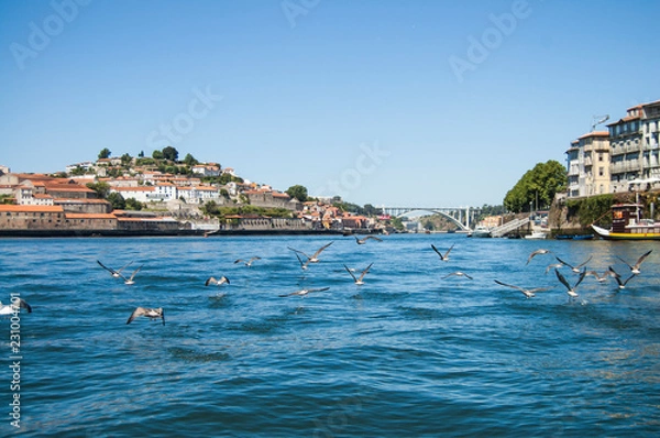 Obraz Porto