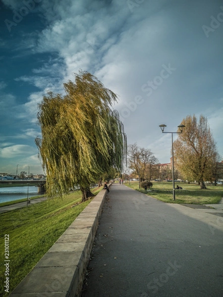 Obraz road in the countryside