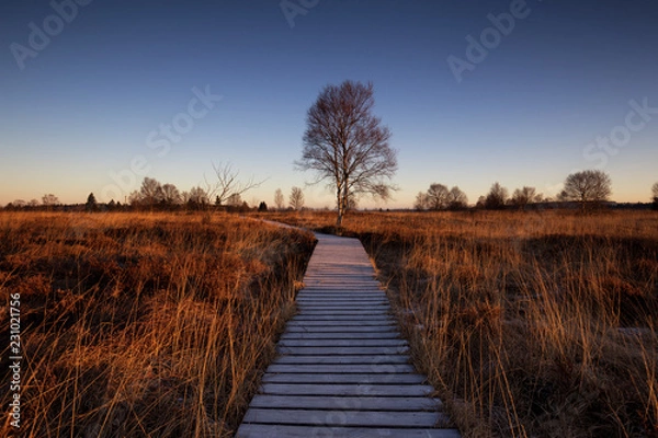 Obraz Frozen boardwalk