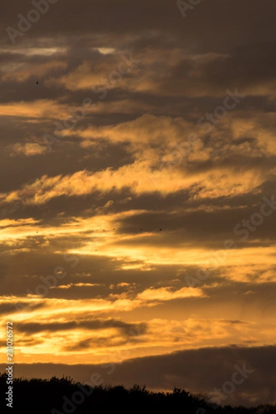 Obraz Ciel d'automne