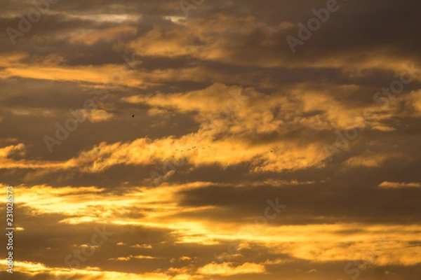 Obraz Ciel d'automne