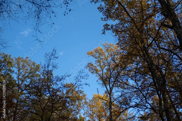 Obraz Herbstlicher Himmel