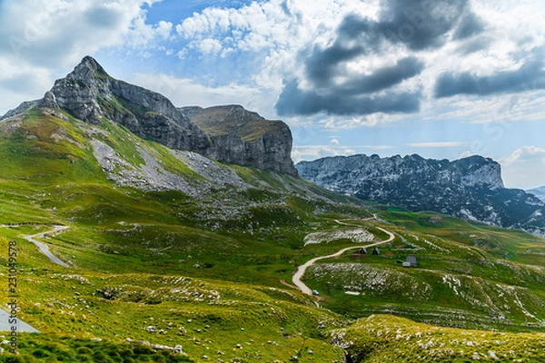 Obraz Panoramic view in Durmitor, Montenegro. Mountain road.