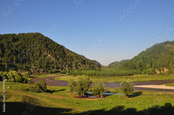Fototapeta Green mountains, field, trees, clouds and blue sky.
