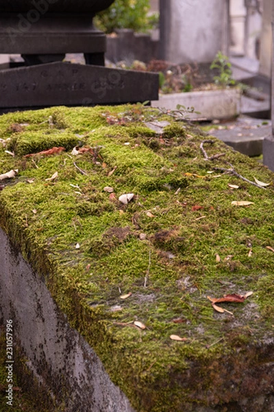 Fototapeta Grabstelle