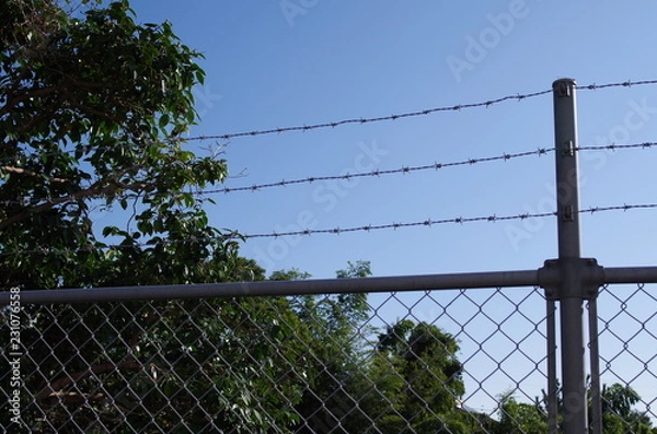 Fototapeta 有刺鉄線