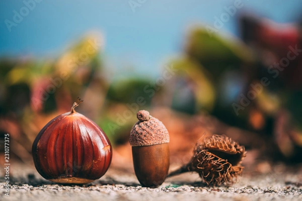 Obraz Fallen buddies