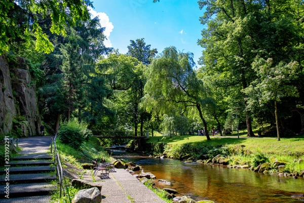 Obraz Parklandschaft 