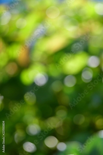 Obraz 背景素材、自然の丸ボケ、玉ボケ、木漏れ日