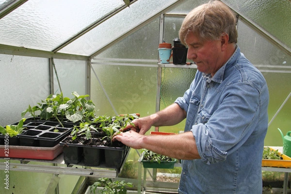 Obraz Hobby-Gärtner