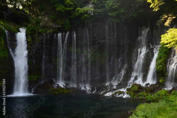 Fototapeta 白糸の滝