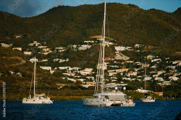 Obraz yachts in harbor