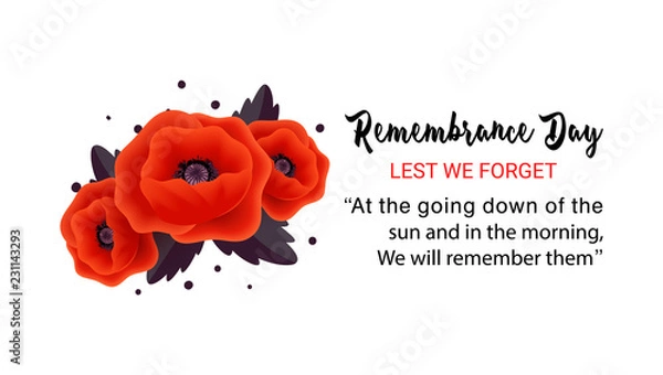 Fototapeta Remembrance Day vector card. Lest We forget.