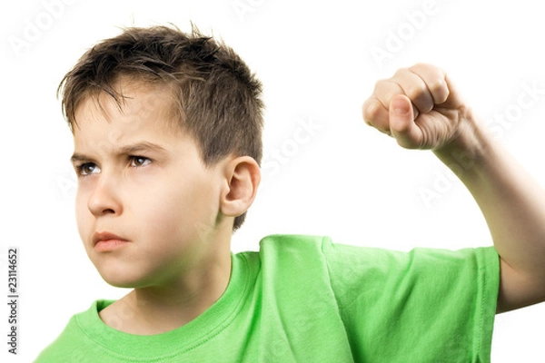 Obraz Threatening fist